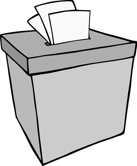 Immagine Elezioni